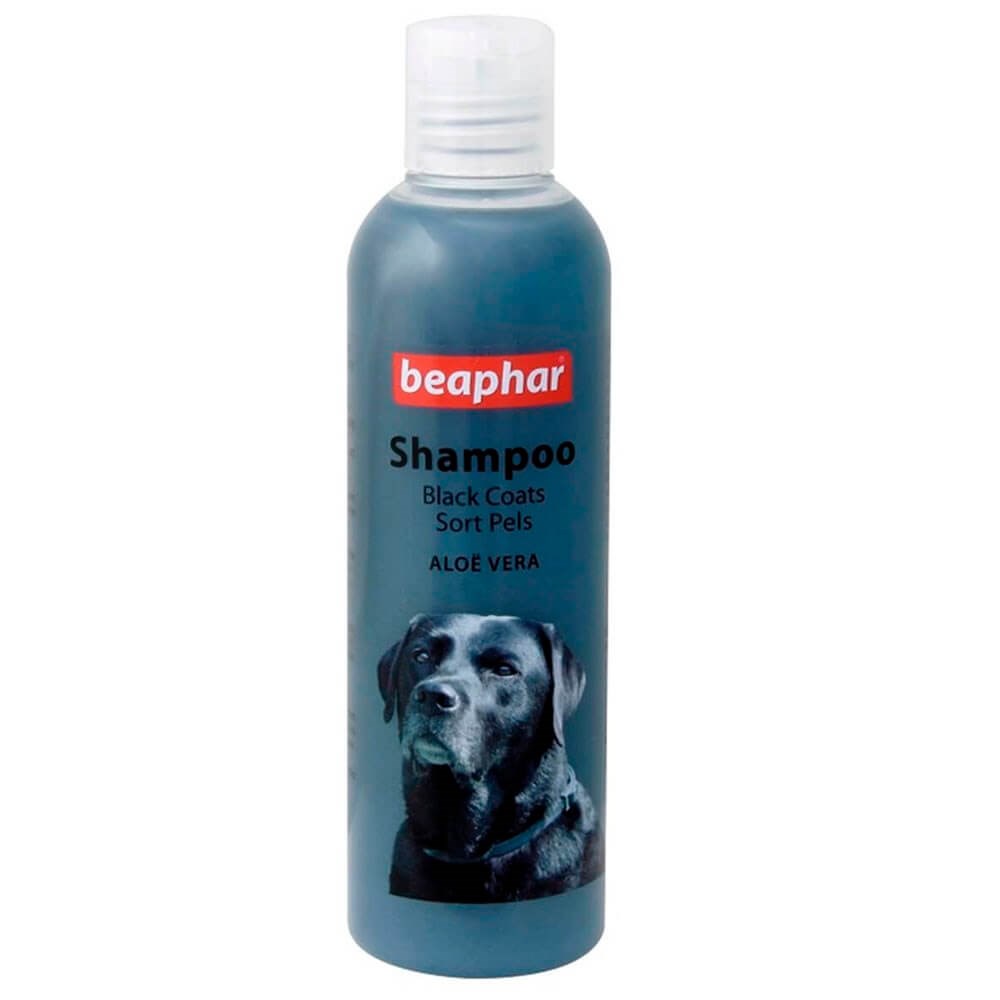 Beaphar Aloe Veralı Siyah Tüylü Köpek Şampuanı 250 ml 8711231182527 Amazon Pet Center