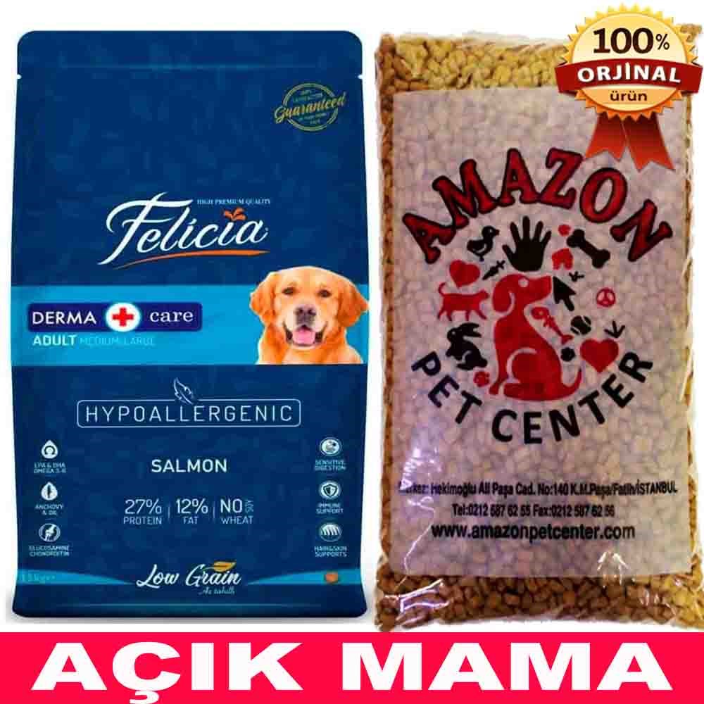 Felicia Köpek Maması Somonlu Az Tahıllı Açık 1 Kg 32114089 Amazon Pet Center
