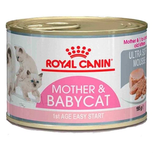 Royal Canin Baby Cat Instinctive 195 Gr Yavru Kedi Maması 9003579311660 Royal Canin Yavru Kedi Konserve Mamaları Amazon Pet Center
