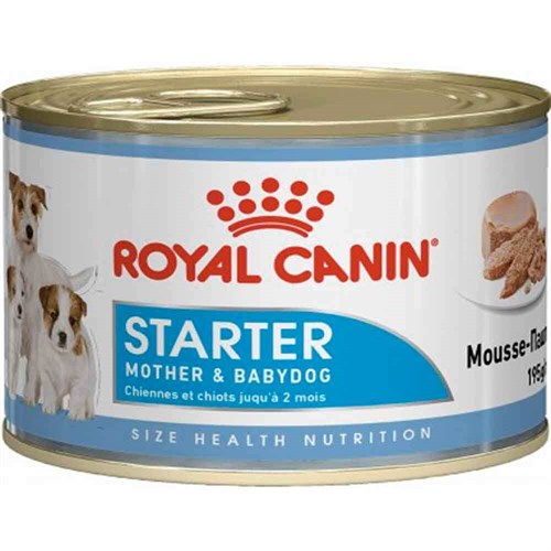 Royal Canin Starter Mousse Yavru Köpek Konservesi 195 Gr 9003579311462 Royal Canin Yavru Köpek Konserveleri Amazon Pet Center