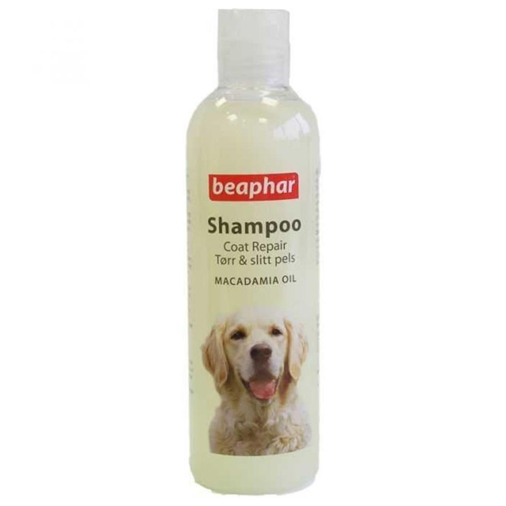 Beaphar Macadamia Yağlı Köpek Şampuanı 250 ml 8711231109036 Amazon Pet Center