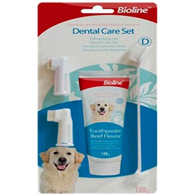 Bioline Dental Diş Bakım Seti 6970117120431 Bioline Köpek Ağız Ve Diş Sağlığı Ürünleri Amazon Pet Center