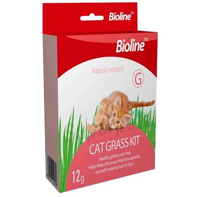 Bioline Kedi Çimi Seti 6970117120318 Bioline Kedi Vitamin Ve Ek Besinleri Amazon Pet Center