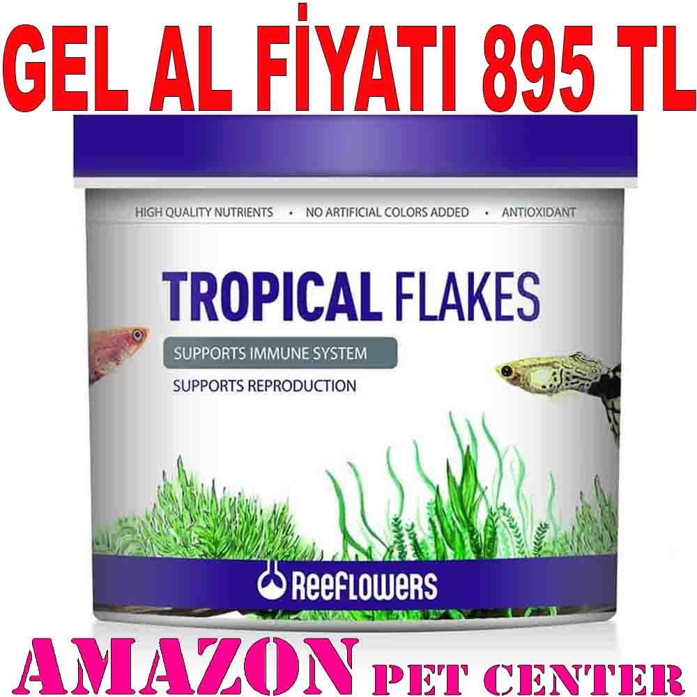 ReeFlowers Tropical Flakes Balık Yemi 8 Lt 8680716338981 Amazon Pet Center