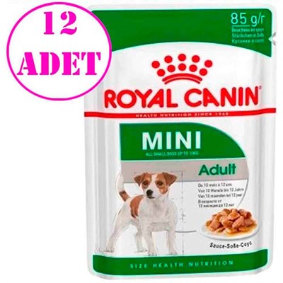 Royal Canin Mini Adult Köpek Konservesi 85 gr 12 Ad 32120929 Royal Canin Koli Köpek Konserve Mamaları Amazon Pet Center