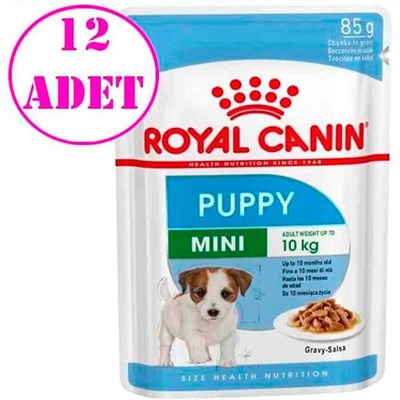Royal Canin Mini Puppy Köpek Konservesi 85 gr 12 Ad 32120851 Royal Canin Koli Köpek Konserve Mamaları Amazon Pet Center